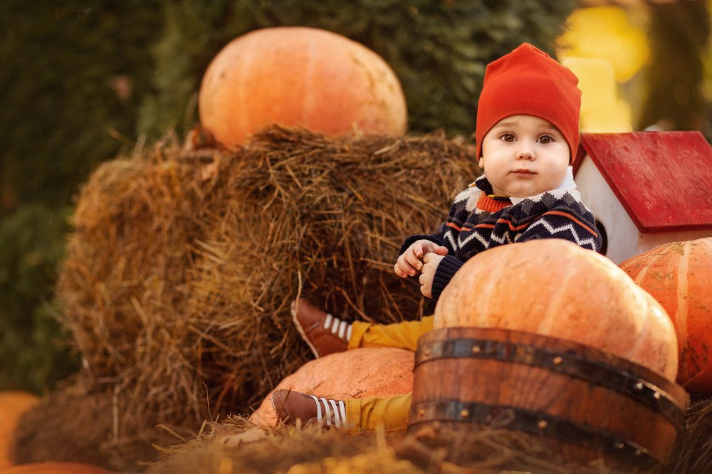 Фотография автора Наталья Филоненко