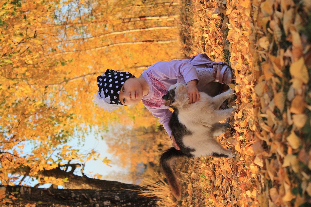 Фотография автора Людмила Иванова