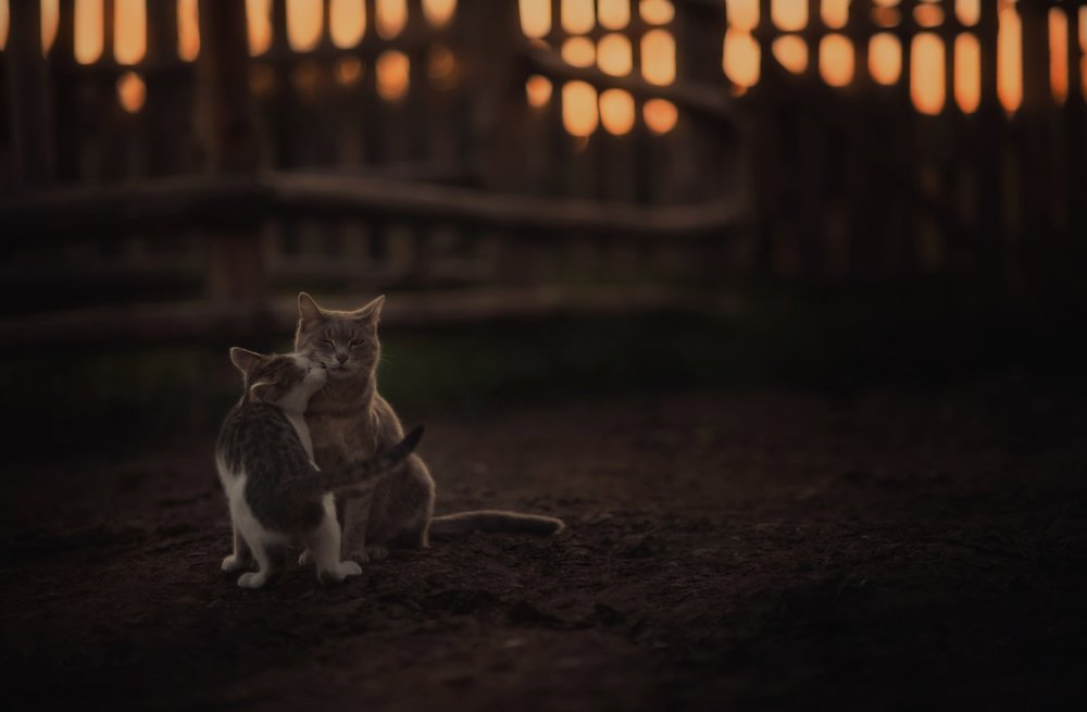 Photograph by Natalia Badyul