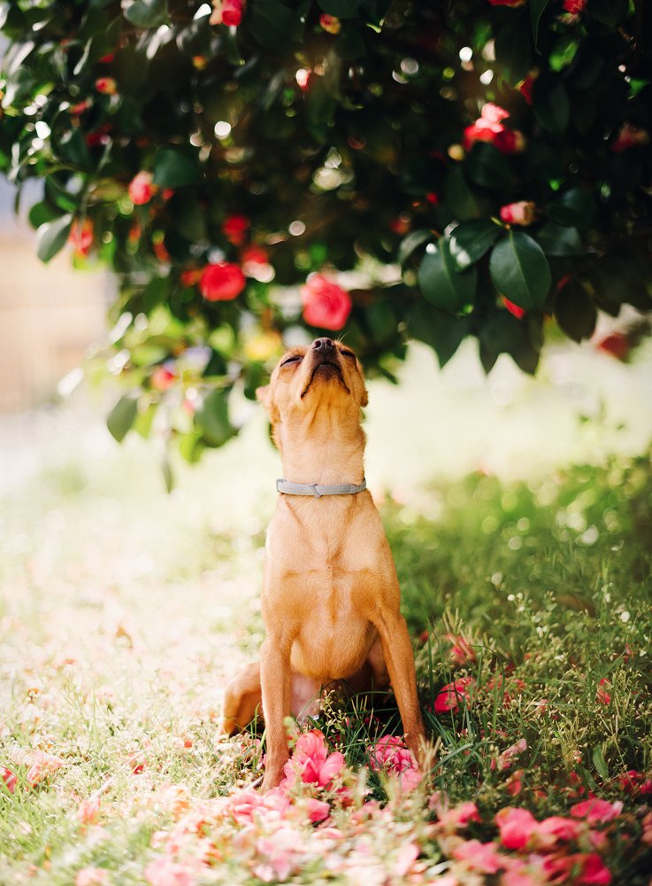 Photograph by Жанна Думинская