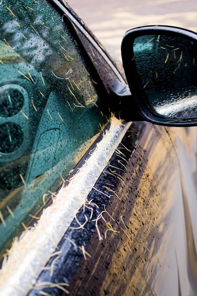 Photograph by Анжелика Трошина