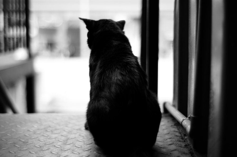 Photograph by Hussman Hawari