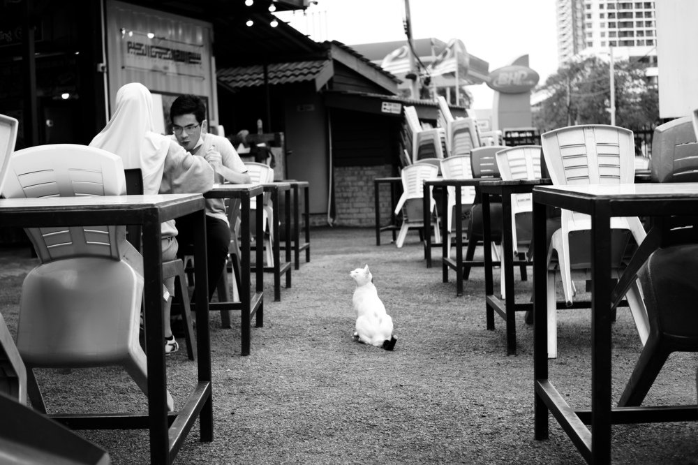 Photograph by Hussman Hawari