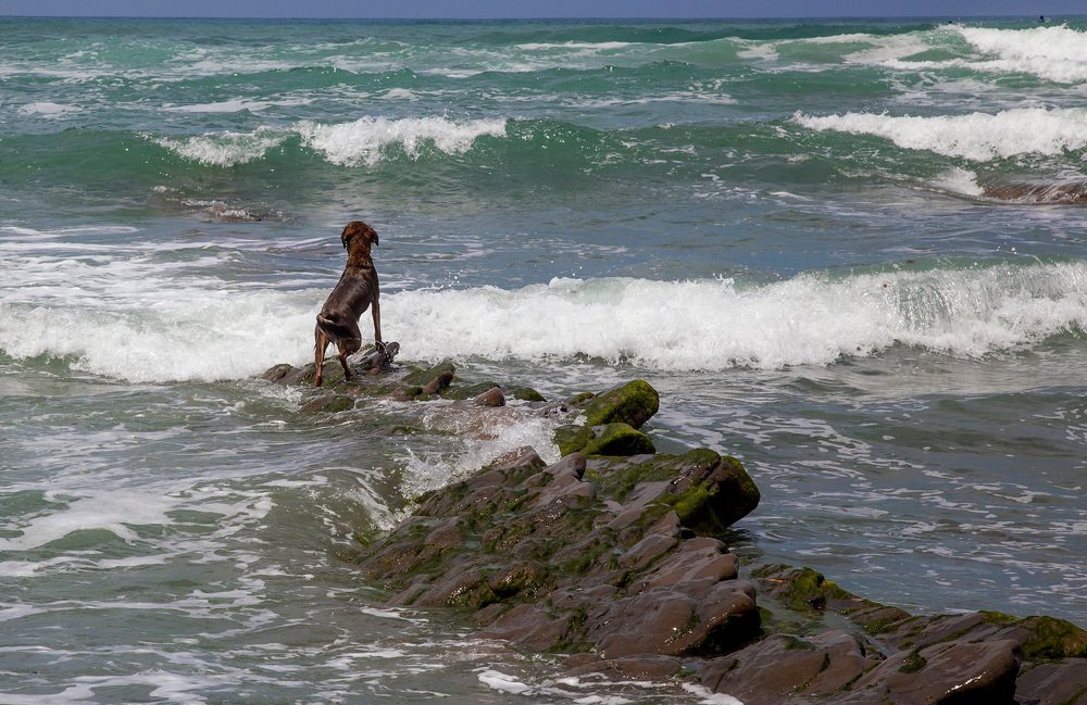 Photograph by Тамара Андреева