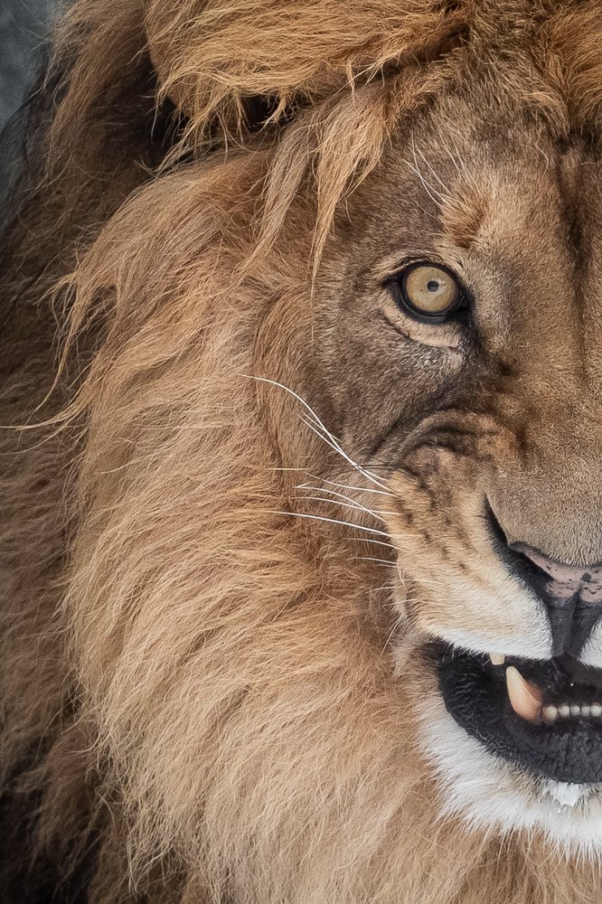 Фотография автора Дмитрий Эбингер