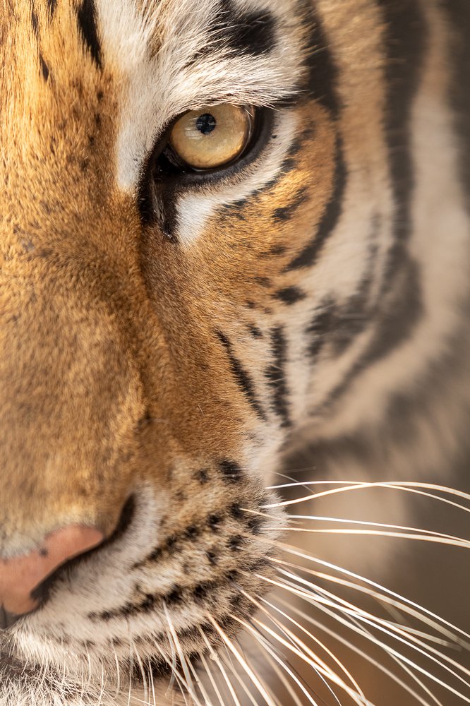 Фотография автора Дмитрий Эбингер