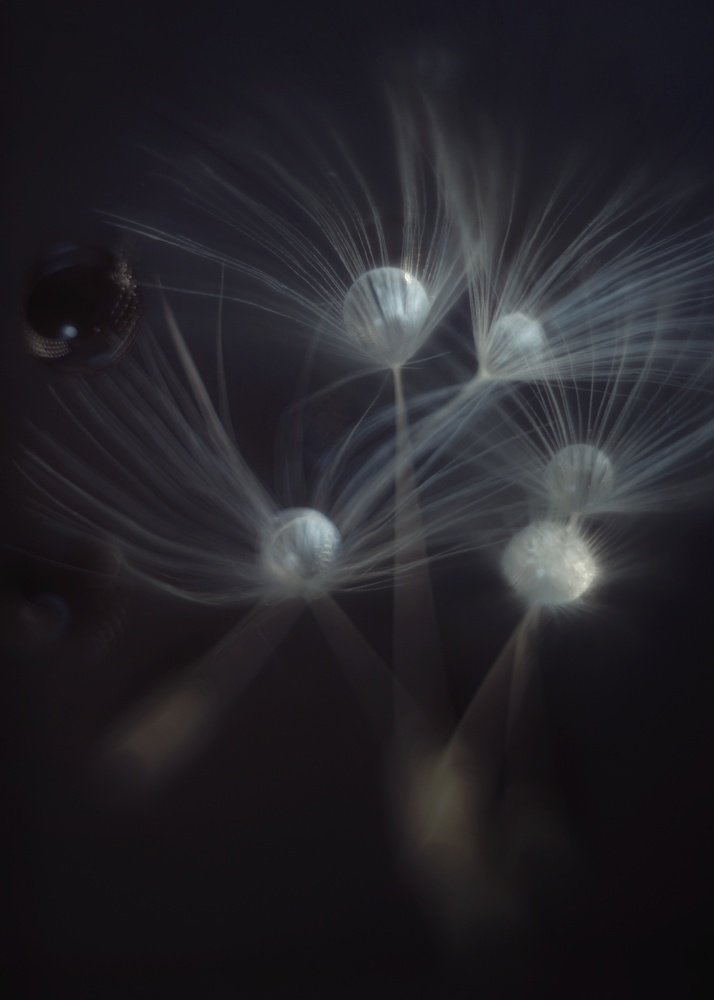 Photograph by Алеся Писнова