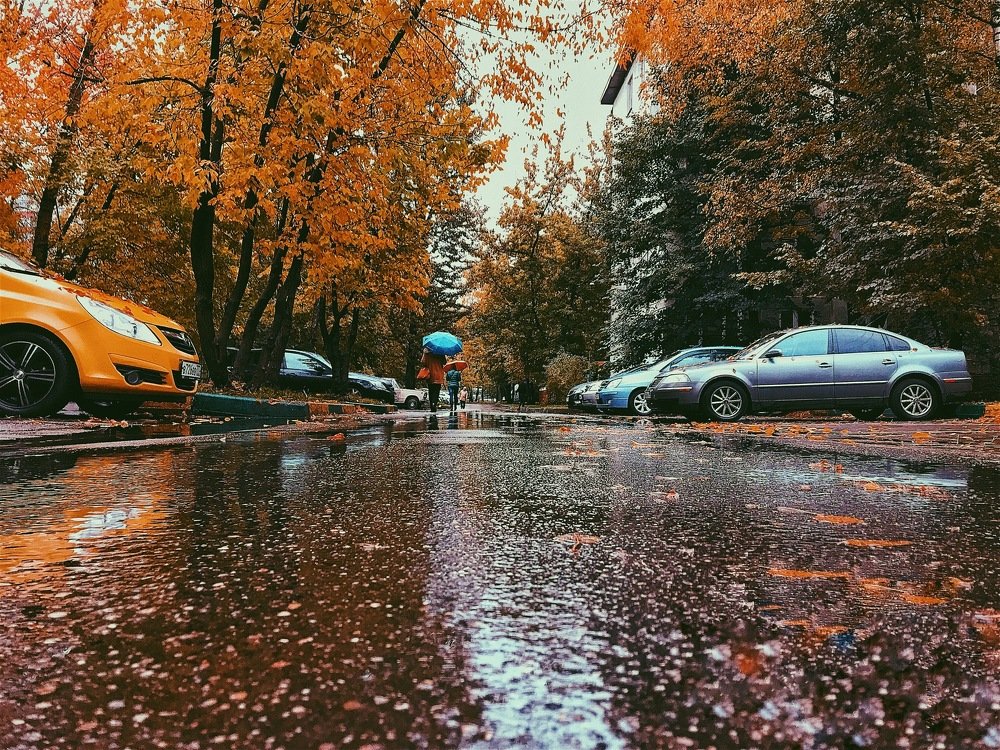 Photograph by Сергей Бойко