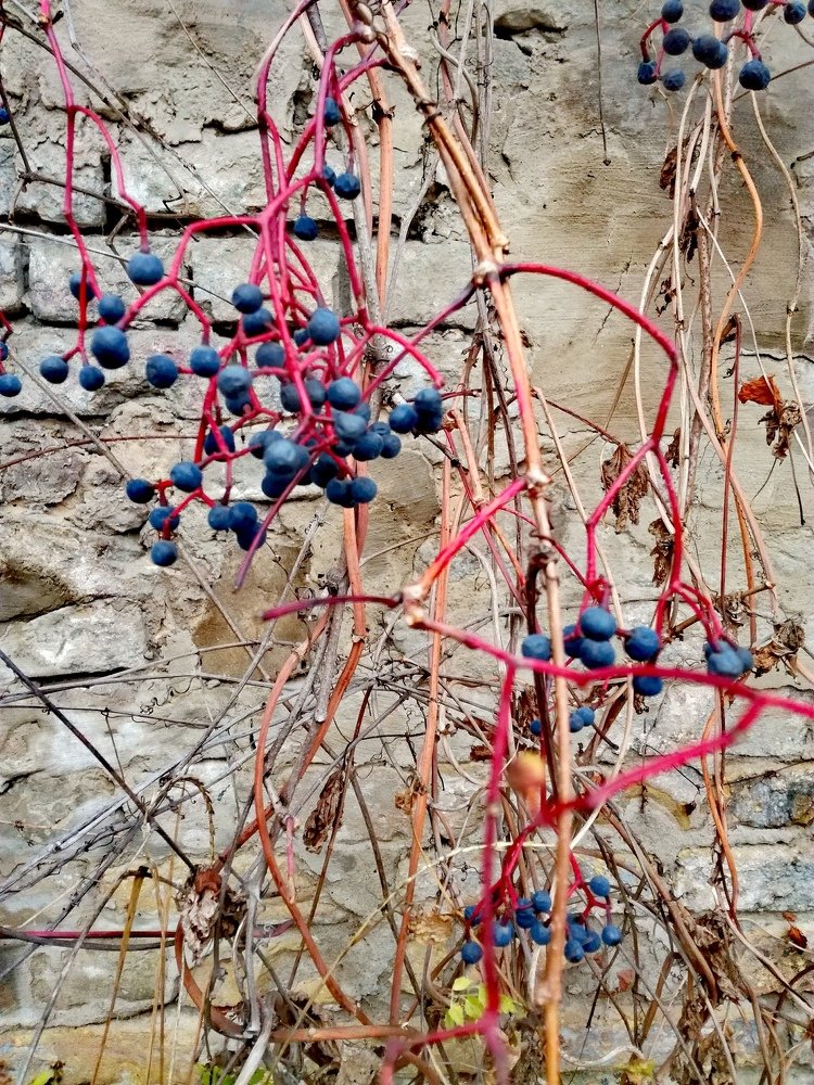 Photograph by Miroslava Sattarova
