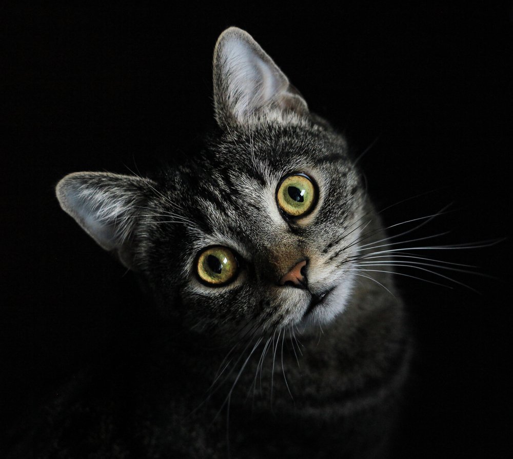 Photograph by Оксана Лукшина