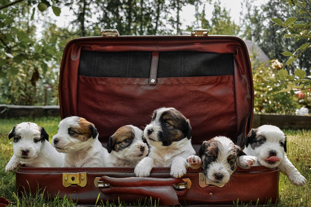 Photograph by Оксана Лукшина