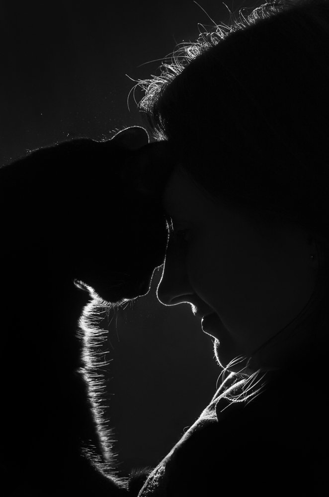 Контуры доверия...