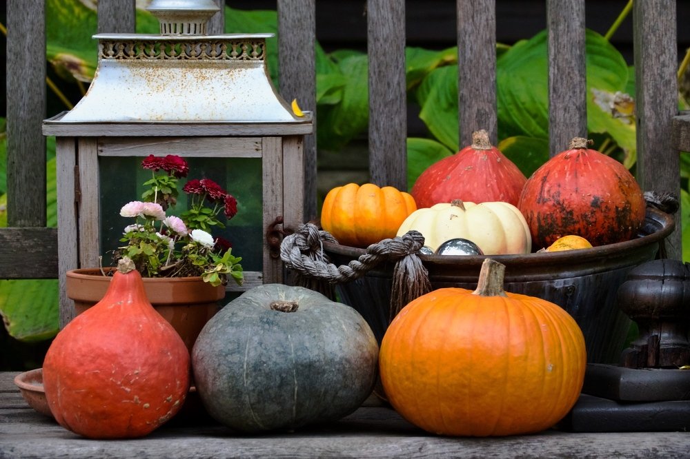 Photograph by Наталья Пирогова