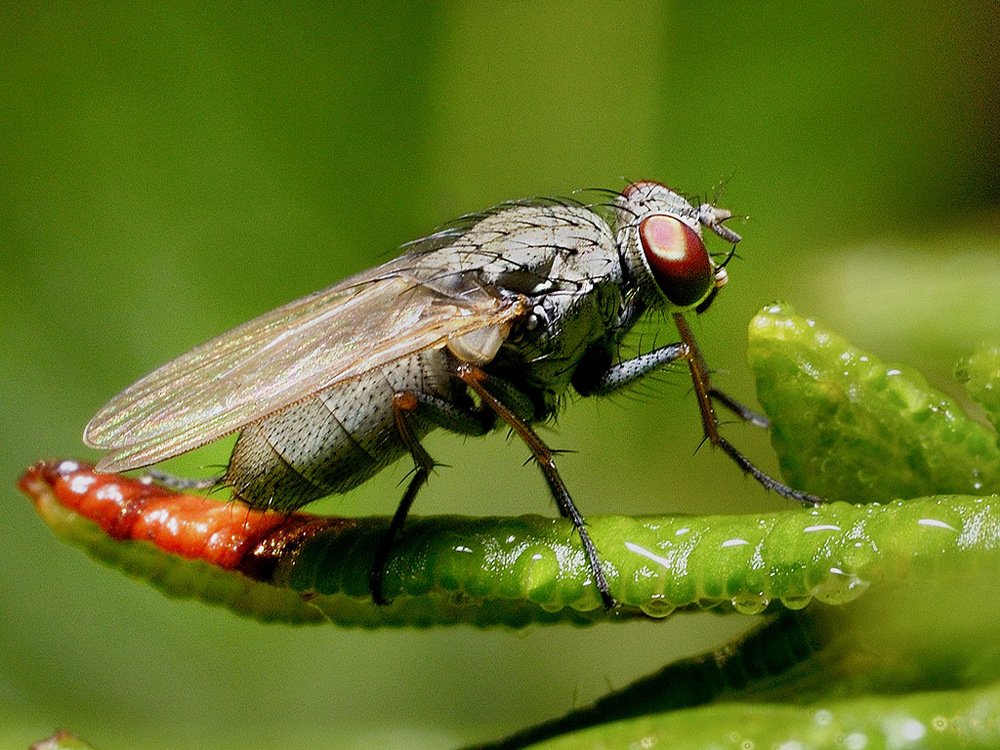 Photograph by Bekir Yesiltas