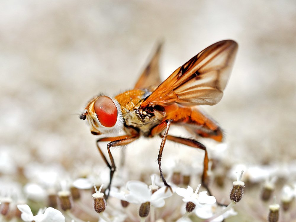 Photograph by Bekir Yesiltas