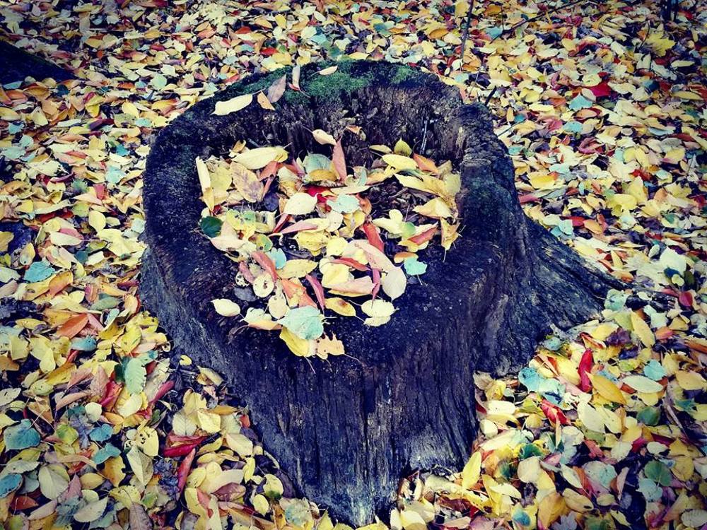 Photograph by Miroslava Sattarova