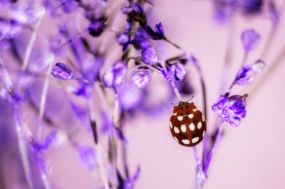 Photograph by Татьяна Минаева