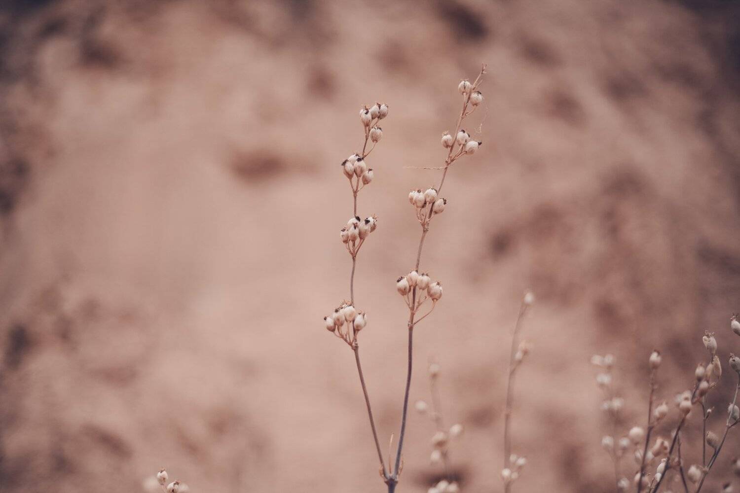 Photo #5217900