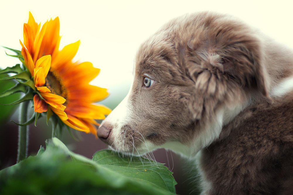 Photograph by Чистякова Валерия