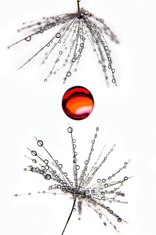 Photograph by Иван Радьков