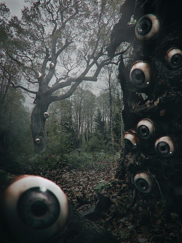 У Лесов Есть Глаза