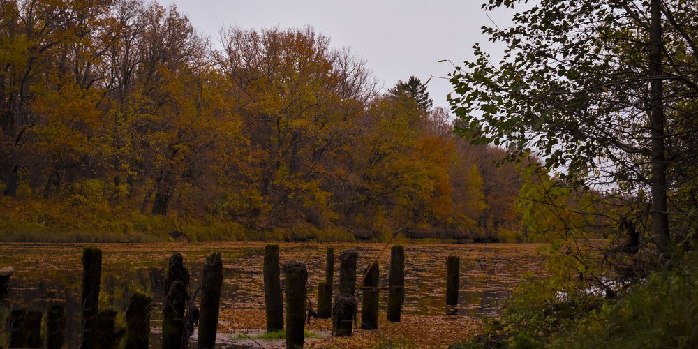 Photograph by Александр Курылёв