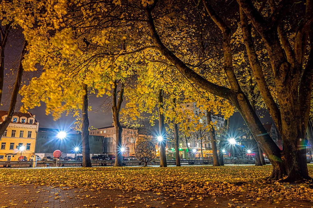 Photograph by Anzela Bazyk