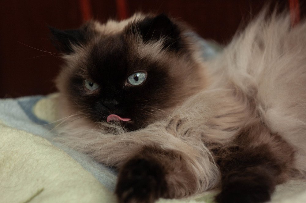 Photograph by Марина Кипреева