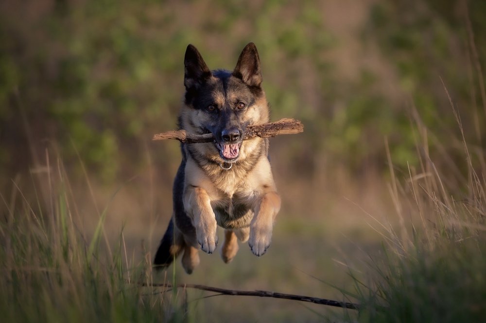 Photograph by Carsten Thamdrup Lund