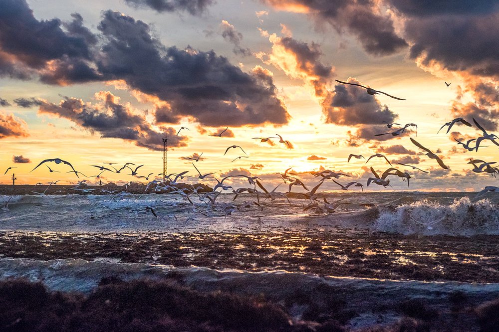 Photograph by Anzela Bazyk