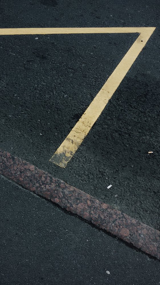 Photograph by Сафронова Любовь