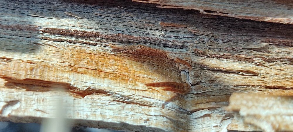 Photograph by Abderrahim Choukri