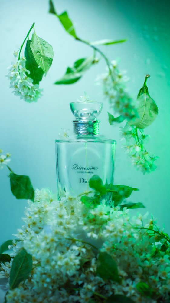 Photograph by Сафронова Любовь