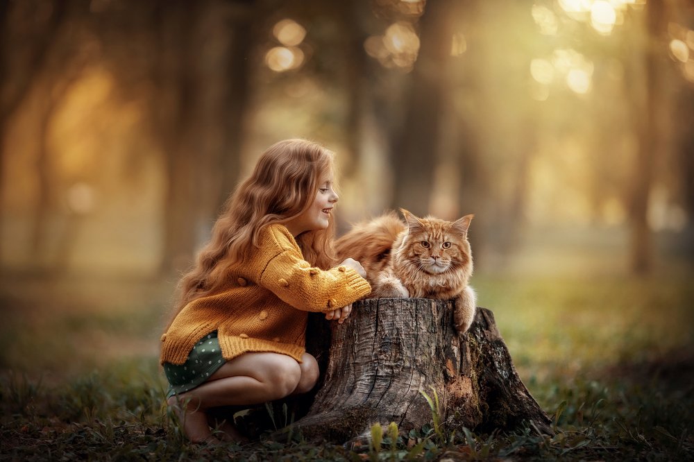 Фотография автора Наталья Водовозова