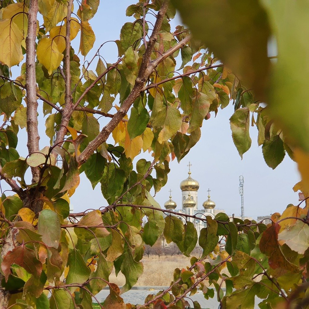 Photograph by Валентина Галич