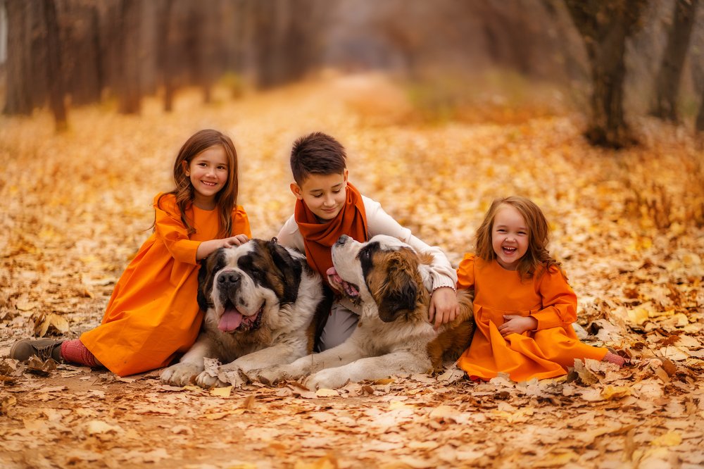 Прекрасная осень