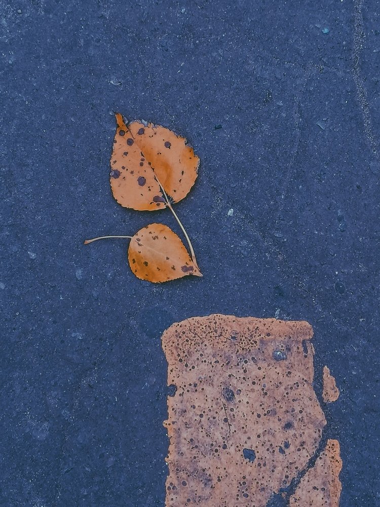 Photograph by Svetlana Petrusenko