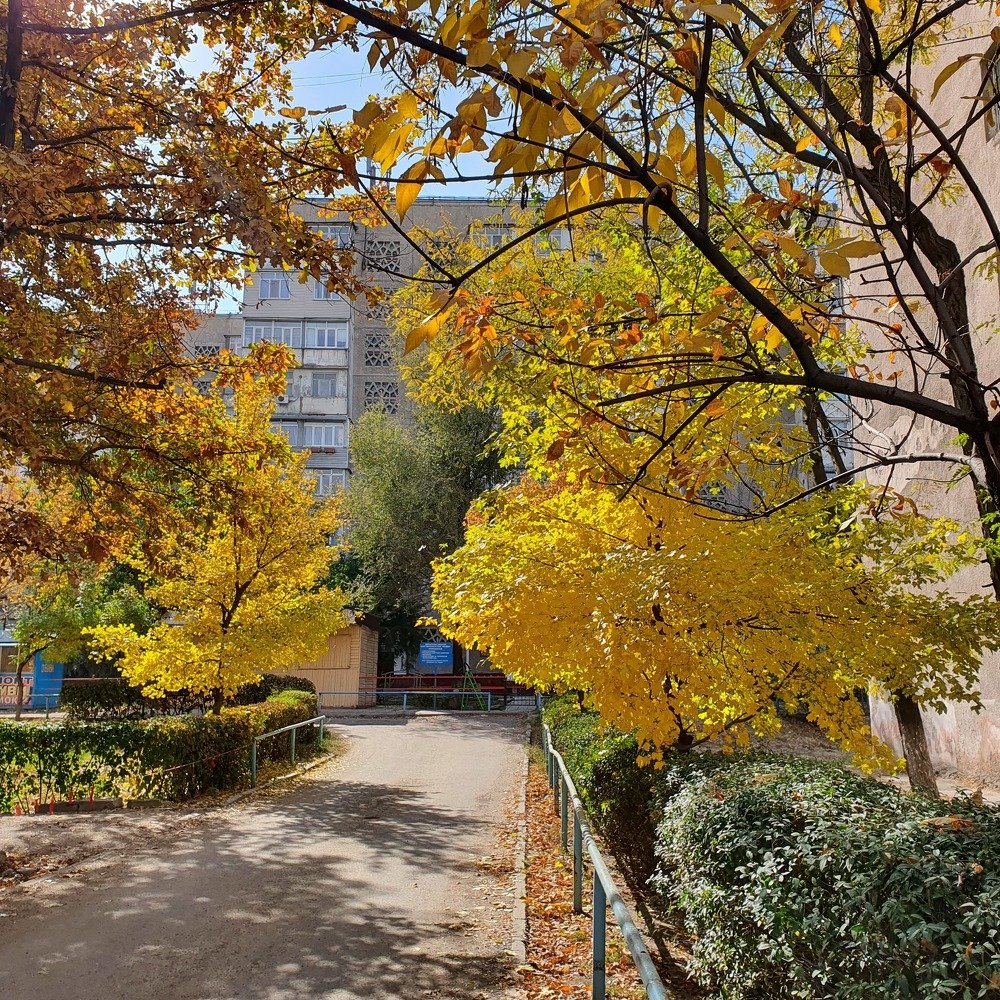 Photograph by Валентина Галич