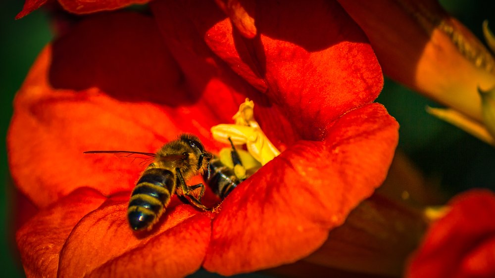 Photograph by Александр Антонов