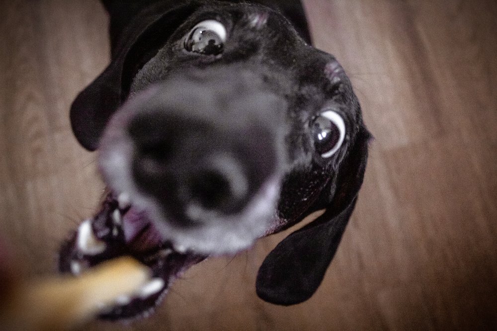 Фотография автора Дарина