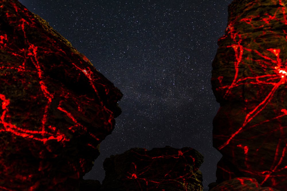 Photograph by Сергей Лазуткин