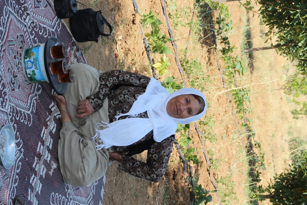 Photograph by Baha Ghaderi