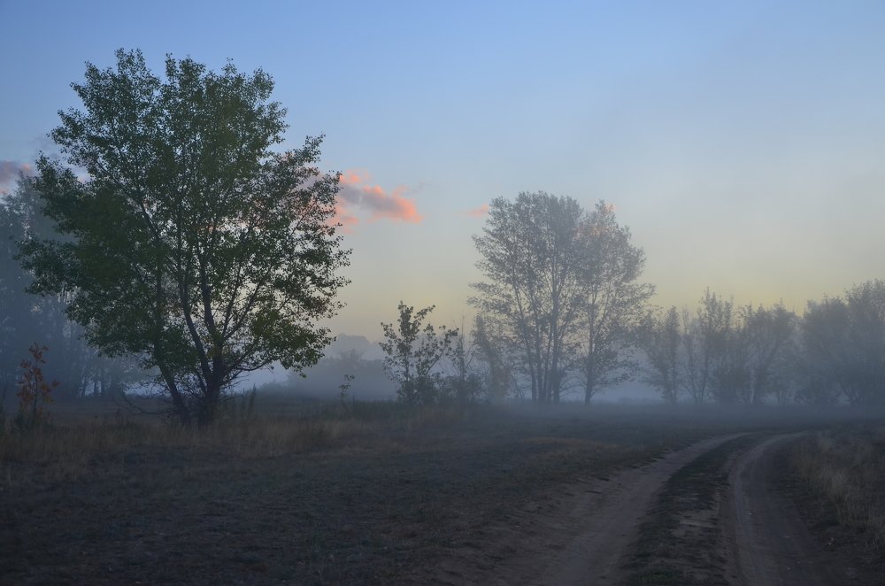 Photograph by Ольга Айдагулова