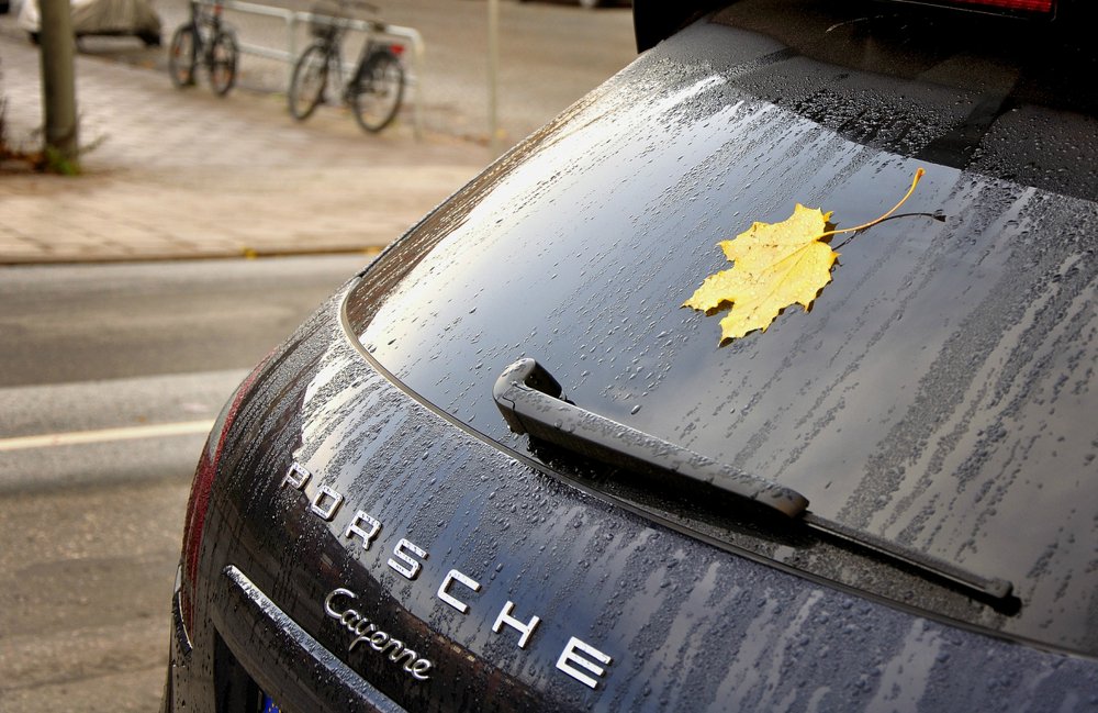 Лист клена и PORSCHE