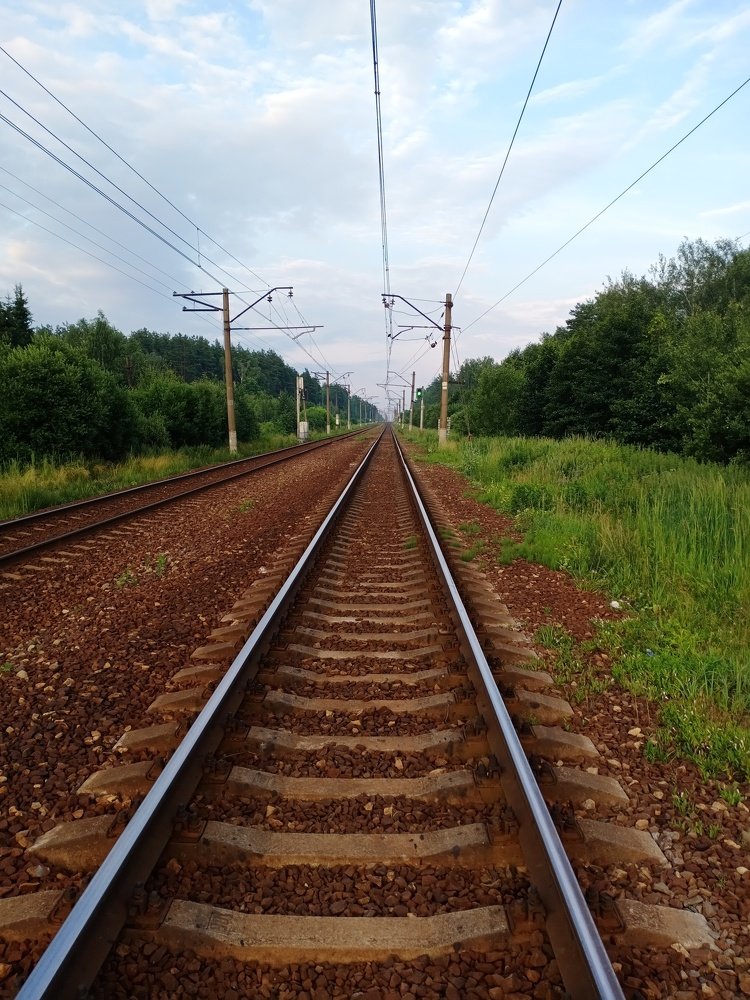 Photo #5218495