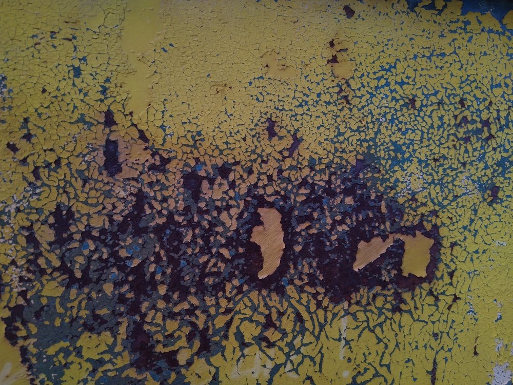 Фотография автора Виктор Конев