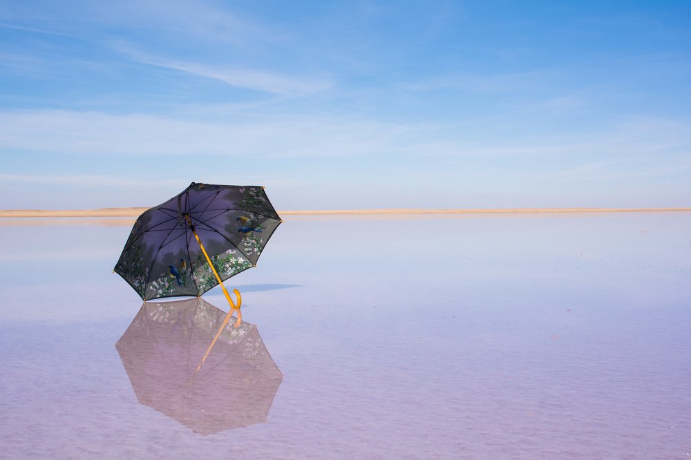 Photograph by Жангазин Рустем Даулетович