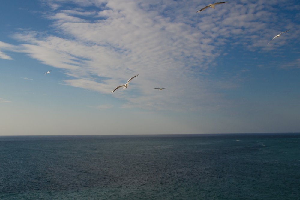 Photograph by Людмила Сливкина