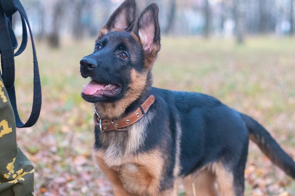 Photograph by Любовь Головина