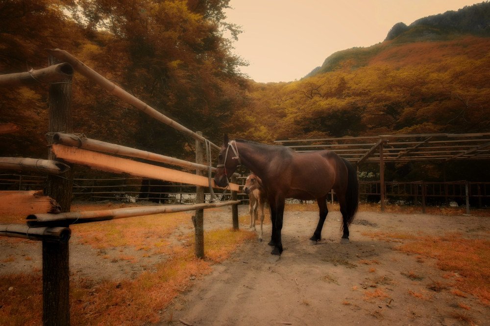 Photograph by Синегубова Ольга